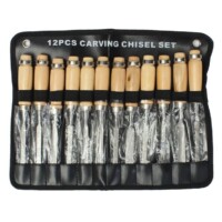 Asint 12 Pc Wood Carving Chisel Set Hand Woodworking Diy Tool Knife-0