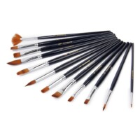 Bomega Assorted Artist Painting Brushes Set of 12 pcs -0