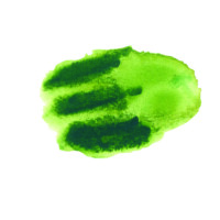 Daniel Smith original Watercolor Stick 12ml Paint , Sap Green-2375