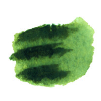 Daniel Smith original Watercolor Stick 12ml Paint , Undersea Green-2384