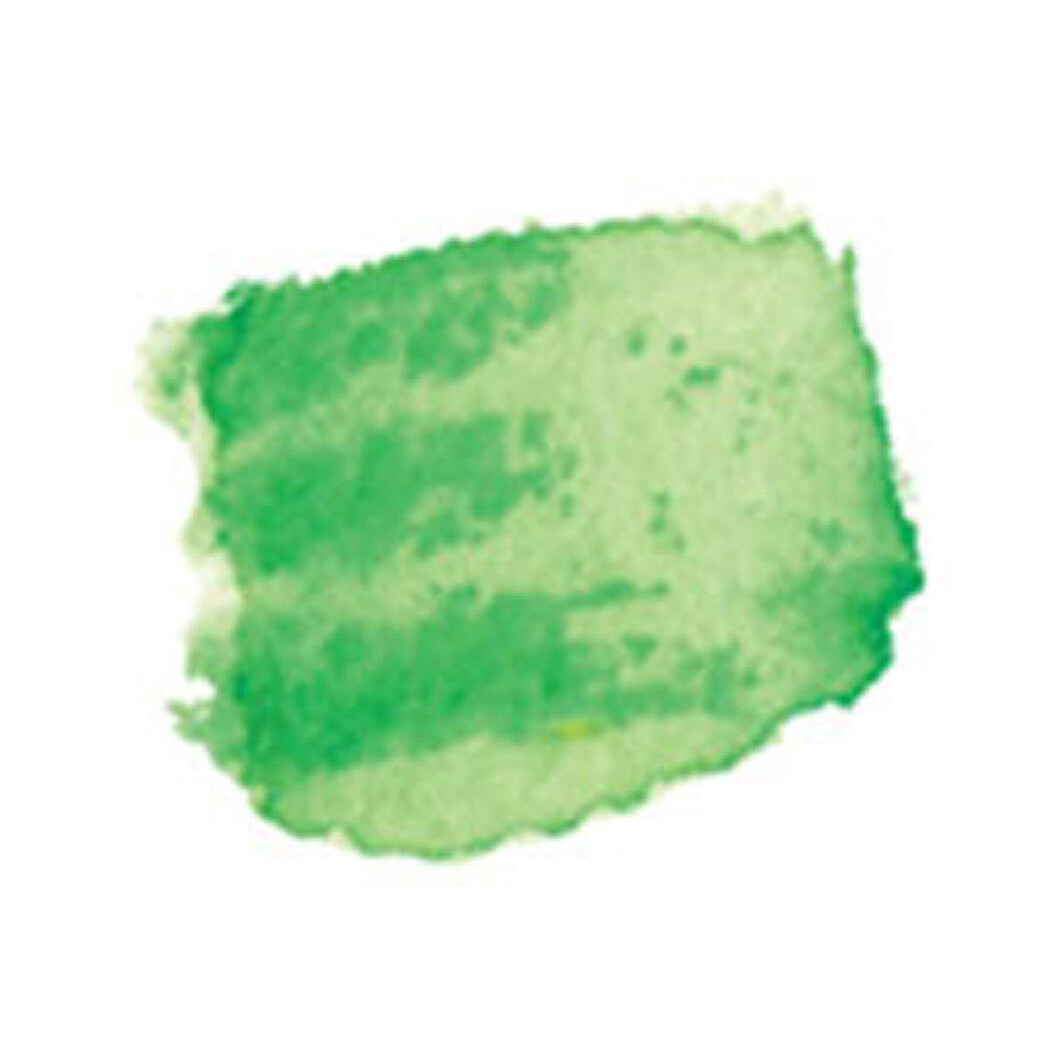 Daniel Smith original Watercolor Stick 12ml Paint , Permanent Green Light-2340