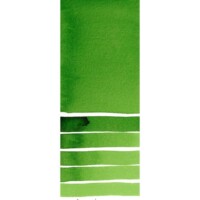 DANIEL SMITH Extra Fine Watercolor 15ml Paint Tube, Hooker's Green-3186