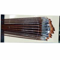 Bomega Angular Best Artist Paint Brush Set (13 Brushes) for Acrylic, Watercolor Painting by Bomega Artist Brush-3948